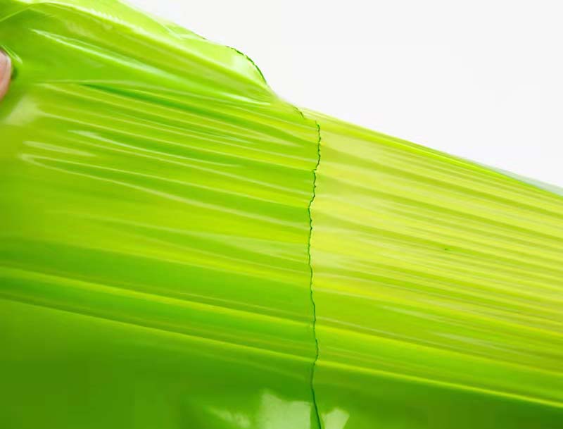 洪洞果绿色快递袋-06